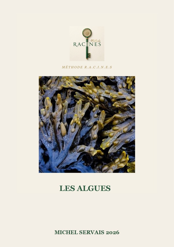 Couverture — Les algues