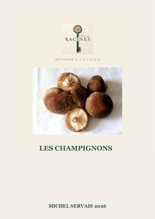 Les champignons